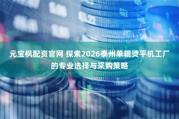元宝枫配资官网 探索2026泰州单辊烫平机工厂的专业选择与采购策略